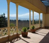 Finca Adalgisa Vineyards